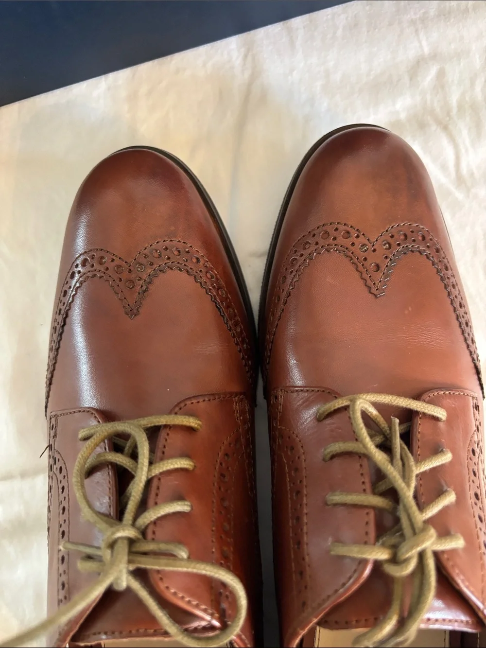 NEW IN BOX Womens Cole Haan Brown Leather Wingtip Derby Oxfords